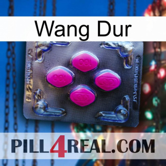 Hard Wang 02